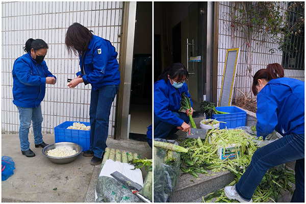 1584008033669429.jpeg 2.jpg