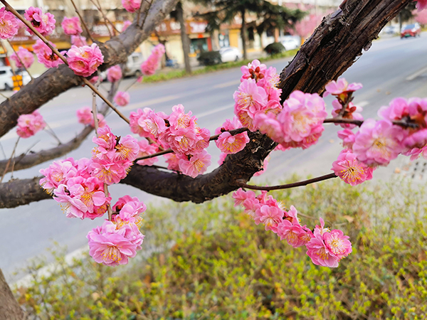 1584065228258342.jpeg 2bf9f8db337b5ebb40f104561aba3d7.jpg