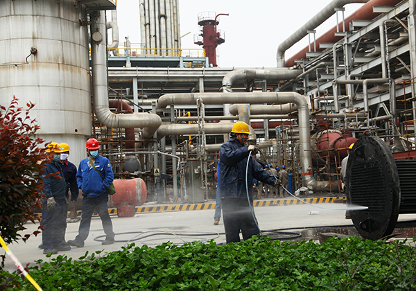 1586512024611718.jpeg 004.JPG