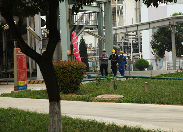 1586512092375419.jpeg 008.JPG