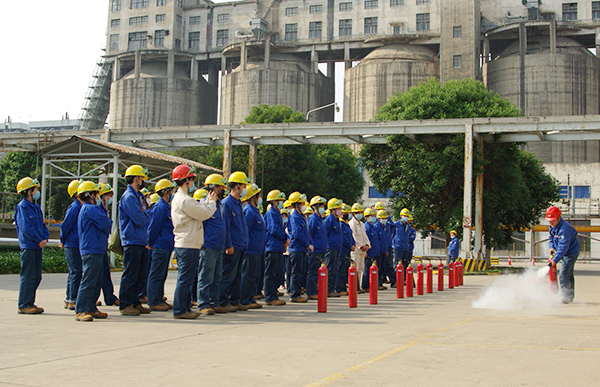 1587722813828886.jpeg IMGP5727.JPG