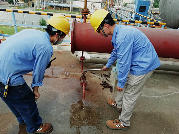 1590114338721472.jpeg 001_副本.jpg