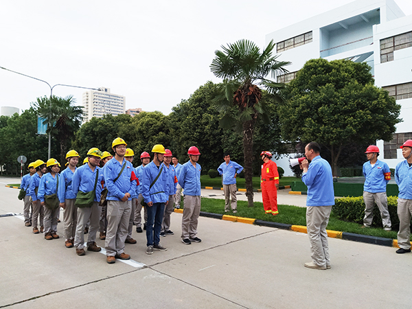 1593388393240339.jpeg 隊形.jpg