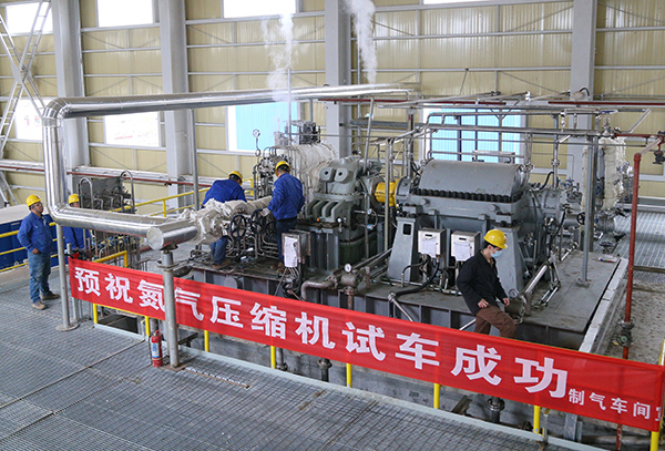 1604634345224126.jpeg IMG_4954.JPG