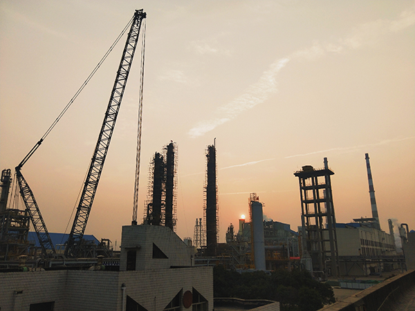 1605514246645781.jpeg 1605506371270938.jpeg