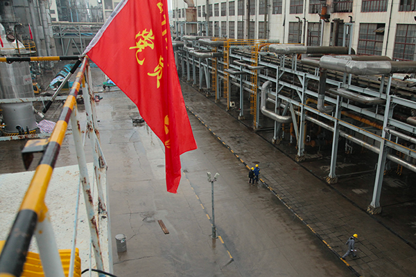 1606045620622698.jpeg IMG_0306.JPG