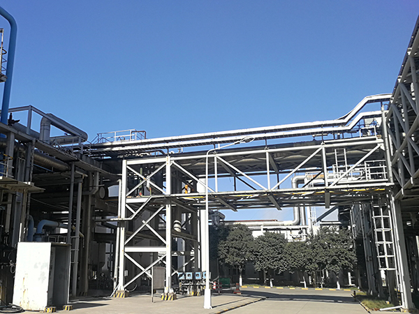 1611804054708604.jpeg 7.jpg