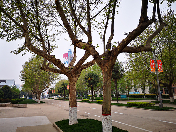 1617929358974904.jpeg 微信圖片_20210409075543600.jpg