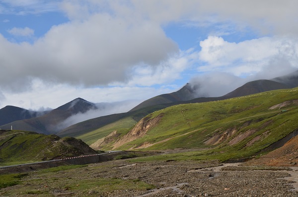 1650024795303963.jpeg 1.jpg