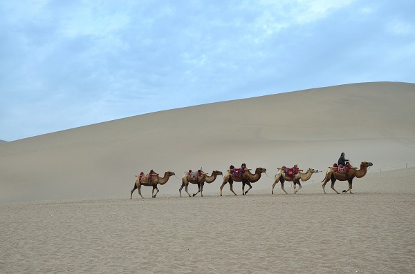 1650024822918712.jpeg 5.jpg