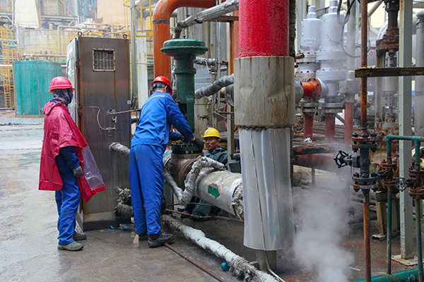 1652574617937085.jpeg IMG_0381副圖.jpg