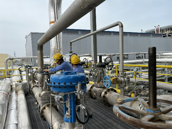 1662714631793582.png 11(1).png