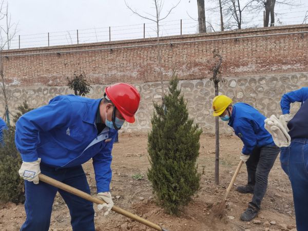 1678950010429659.jpeg 水汽車間領導班子成員周永峰帶隊培土植樹.jpg