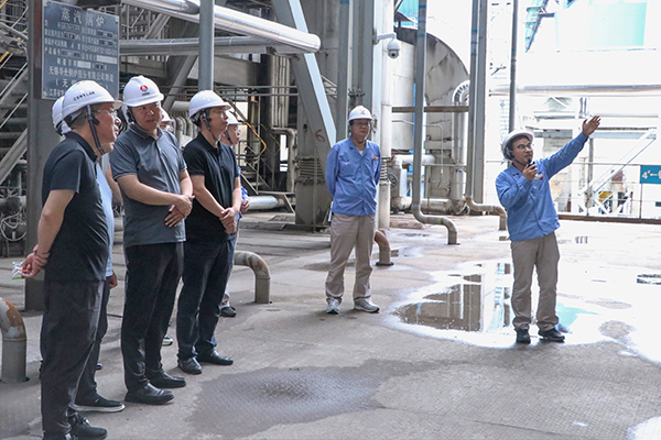 1689580728619606.jpeg IMG_9250 600.jpg