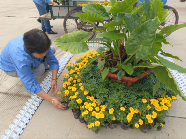 1695340383623444.png 花房員工在調(diào)整花的擺放,使得更美觀好看。(1)(1).png