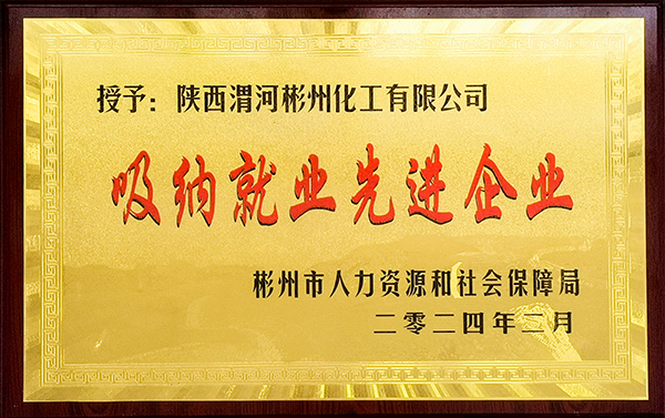 彬州公司榮獲”吸納就業先進企業“稱號  600.jpg