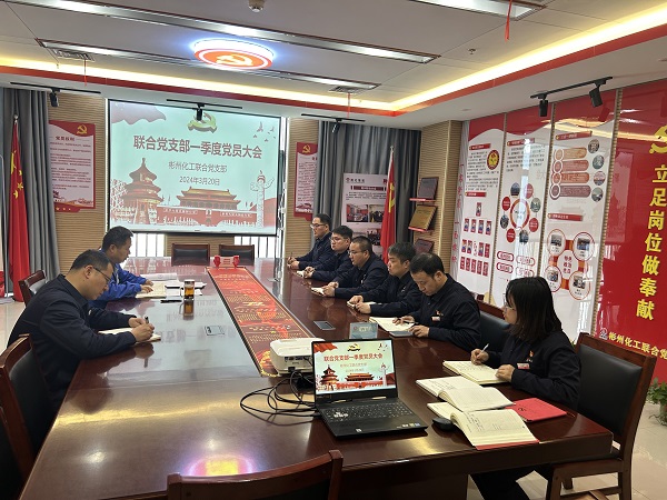 1711001827427153.jpeg 聯合黨支部召開黨員大會傳達學習全國兩會精神.jpg