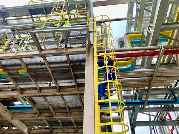 1714899099631556.jpeg 爬塔中.jpg