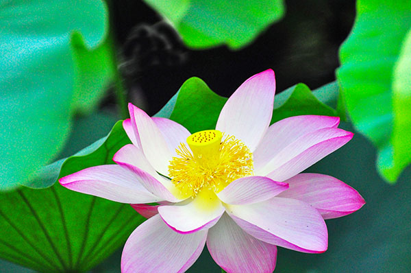 1717545175907856.jpeg 3.jpg