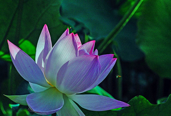 1717545225291544.jpeg 5.jpg