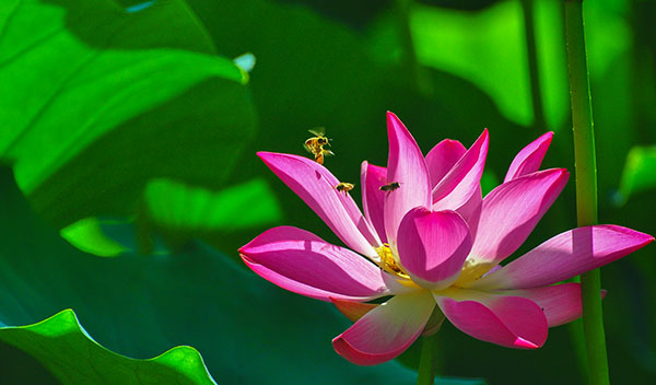 1717545239777722.jpeg 2.jpg