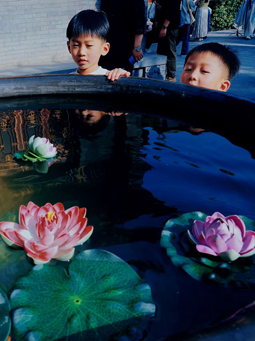 1717545516779102.jpeg 童眼看蓮.jpg