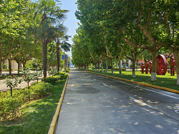 1717571583448353.jpeg 綠蔭大道.jpg