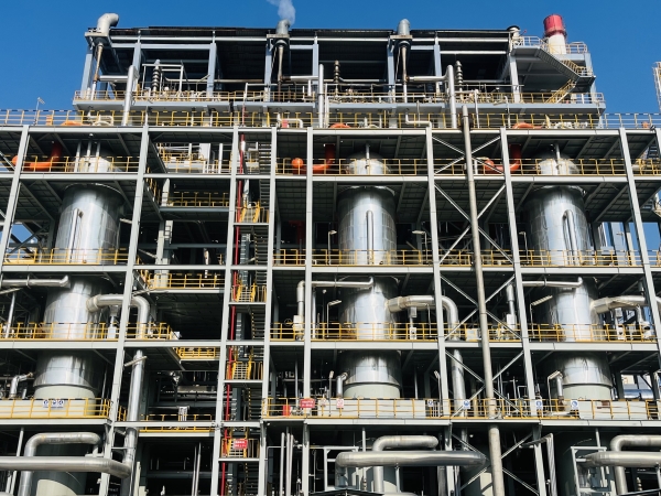 1725496038636380.jpeg 2 (1).jpg