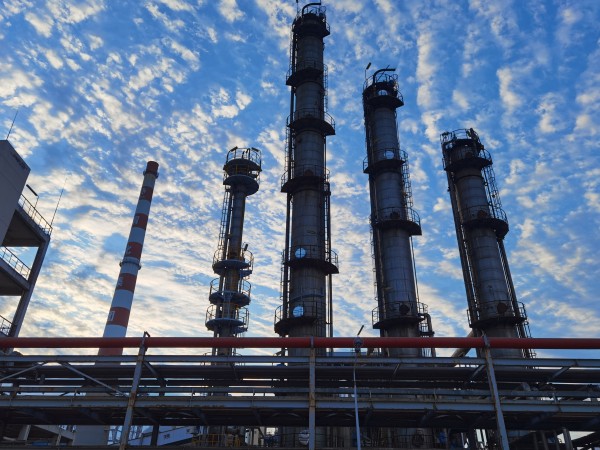 1734312630212196.jpeg 3.jpg