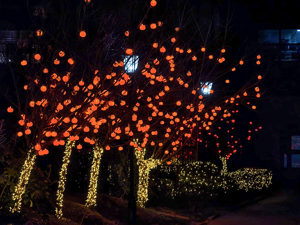 1739341026908884.jpeg 小區彩燈 600.jpg