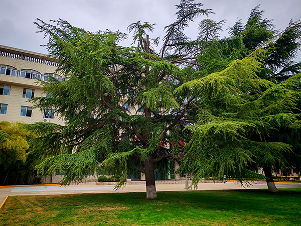 dfaa73042b57466dc905f1246eb7caaa   600.jpg