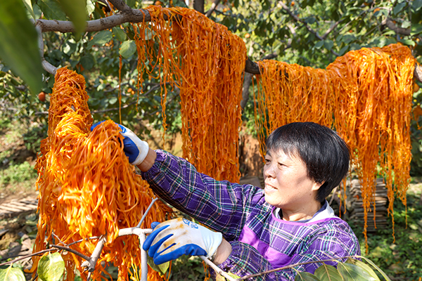 281761659901130187.jpg fadb26a82ed1b2c1e595c2a8dee5cd85 600.jpg