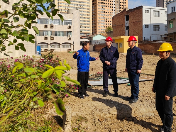 11月20日上午，集團公司黨委書記、董事長、總經理趙強親臨辦公樓南側綠化改造升級工程現場實地督導工作-1.jpg
